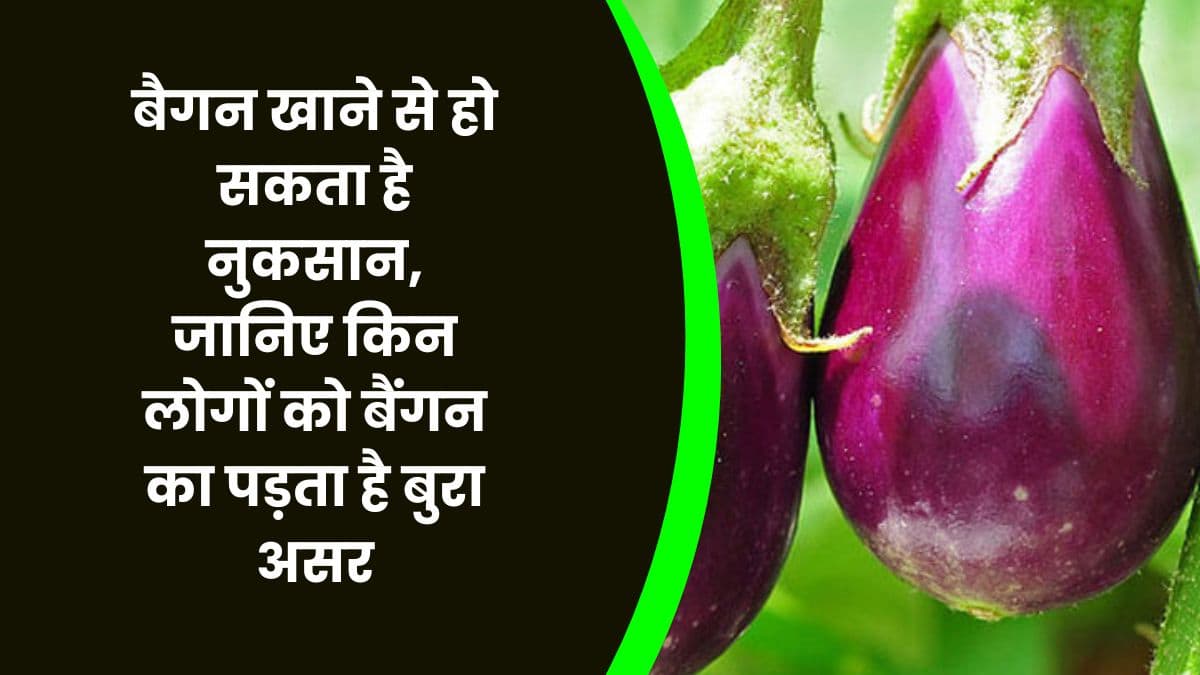 Good Health Tips: बैगन खाने से हो सकता है नुकसान, जानिए किन लोगों को बैंगन का पड़ता है बुरा असर