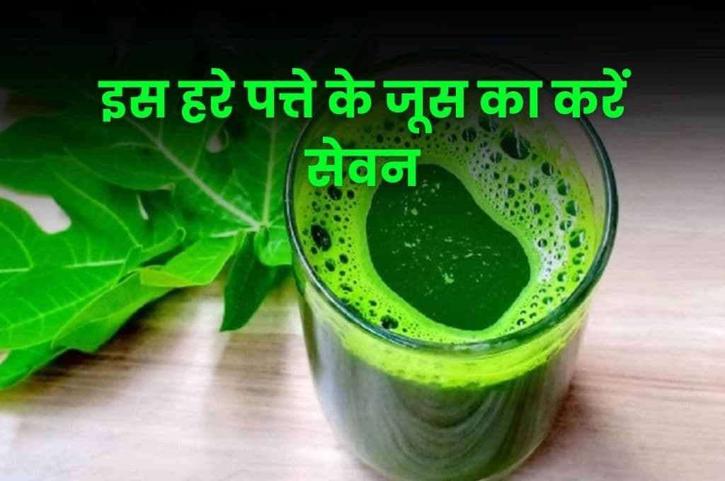 Health Tips: इस हरे पत्ते के जूस का करें सेवन, खून की सफाई से लेकर चेहरे के ग्लो के लिए जबरदस्त फायदा