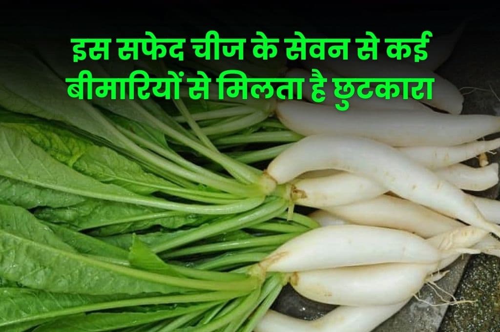 Good Health Tips: इस सफेद चीज के सेवन से कई बीमारियों से मिलता है छुटकारा, जाने इसके बारे में पूरी डिटेल्स
