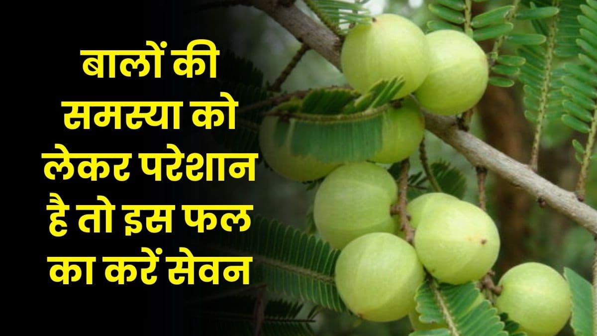 Good Health Tips: बालों की समस्या को लेकर परेशान है तो इस फल का करें सेवन, समस्या हो जाएगी छूमंतर