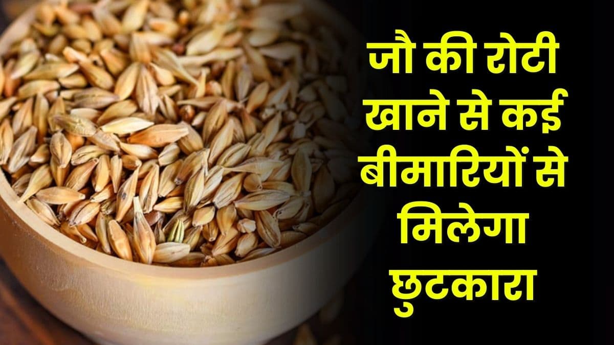 Health Tips: जौ की रोटी खाने से कई बीमारियों से मिलेगा छुटकारा, इसका पानी भी फायदेमंद