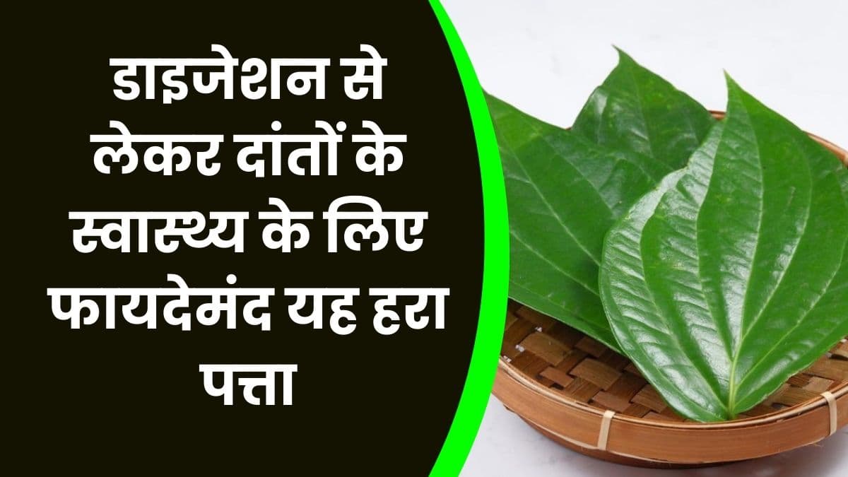 Good Health Tips: डाइजेशन से लेकर दांतों के स्वास्थ्य के लिए फायदेमंद यह हरा पत्ता, कई बीमारियों से मिलता है छुटकारा, जानिए नाम