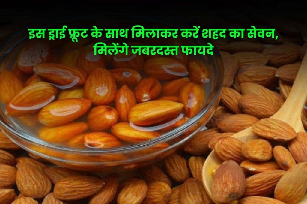 Good Health Tips: इस ड्राई फ्रूट के साथ मिलाकर करें शहद का सेवन, मिलेंगे जबरदस्त फायदे, कई रोगों से होगी छुट्टी