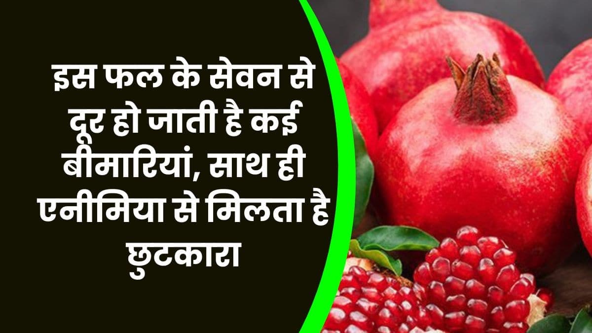 Health Tips: इस फल के सेवन से दूर हो जाती है कई बीमारियां, साथ ही एनीमिया से मिलता है छुटकारा