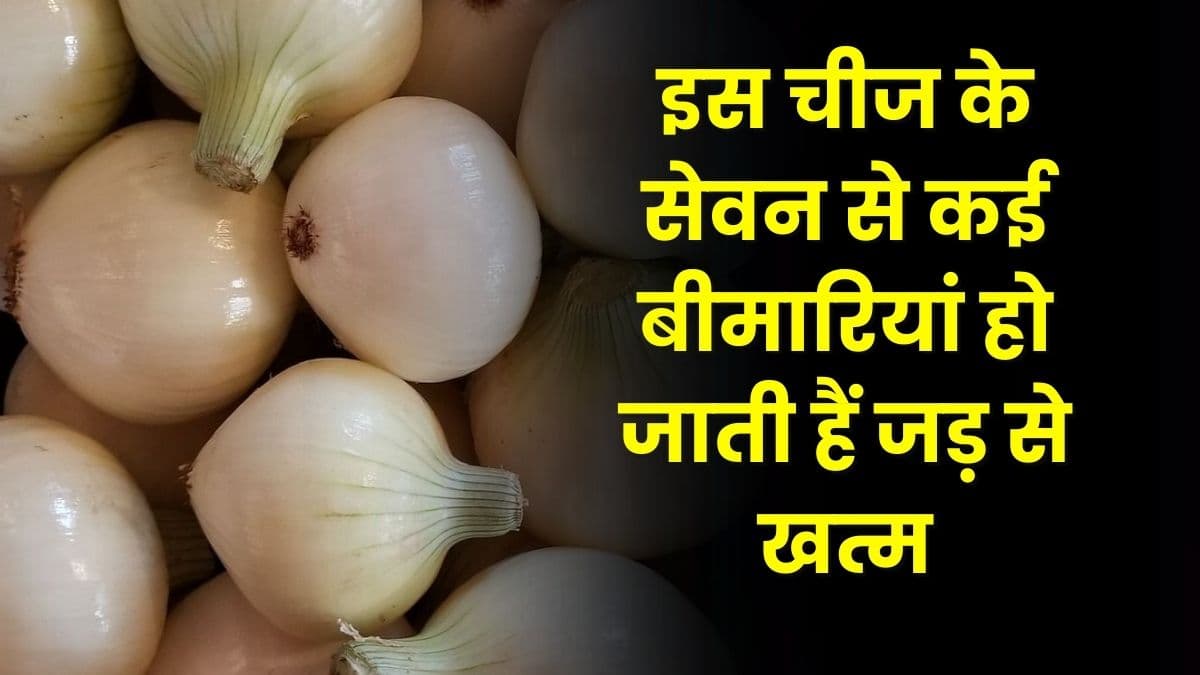 Health Tips: इस चीज के सेवन से कई बीमारियां हो जाती हैं जड़ से खत्म, जाने सारी डिटेल्स