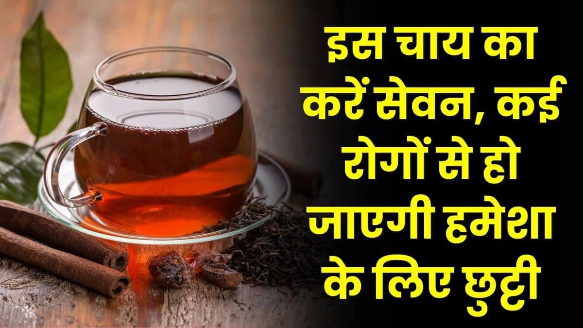 Good Health Tips: इस चाय का करें सेवन, कई रोगों से हो जाएगी हमेशा के लिए छुट्टी, जाने चाय के फायदे