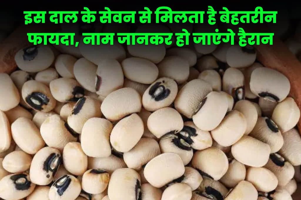 Health Tips: इस दाल के सेवन से मिलता है बेहतरीन फायदा, नाम जानकर हो जाएंगे हैरान
