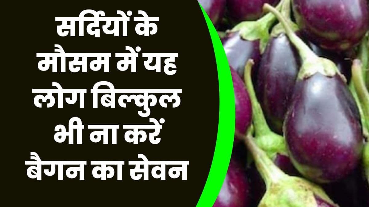 Health Tips: सर्दियों के मौसम में यह लोग बिल्कुल भी ना करें बैगन का सेवन, वरना हो सकता है भारी नुकसान