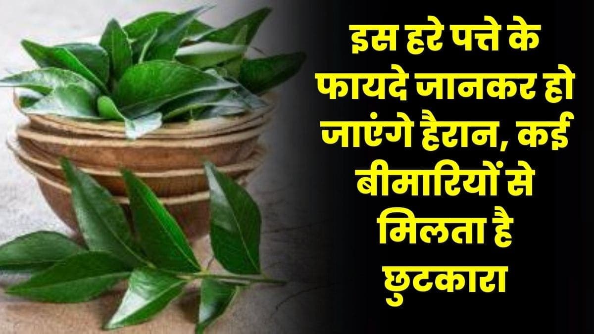 Health Tips: इस हरे पत्ते के फायदे जानकर हो जाएंगे हैरान, कई बीमारियों से मिलता है छुटकारा, वस सुबह खाली पेट चवाये