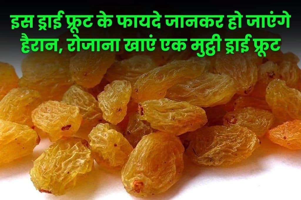 Raisin Health Tips: इस ड्राई फ्रूट के फायदे जानकर हो जाएंगे हैरान, रोजाना खाएं एक मुट्ठी ड्राई फ्रूट