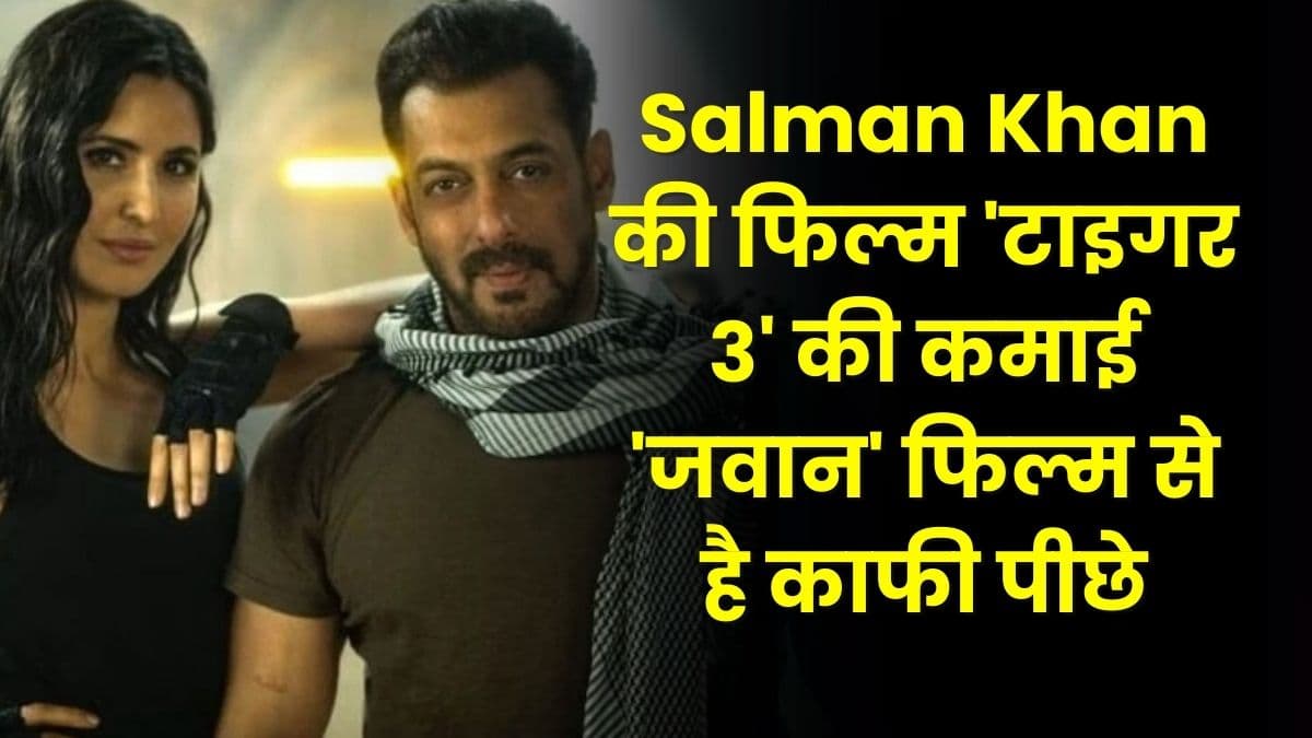 Salman Khan की फिल्म 'टाइगर 3' की कमाई  'जवान' फिल्म से है काफी पीछे, जाने टाइगर 3 फिल्म का कलेक्शन