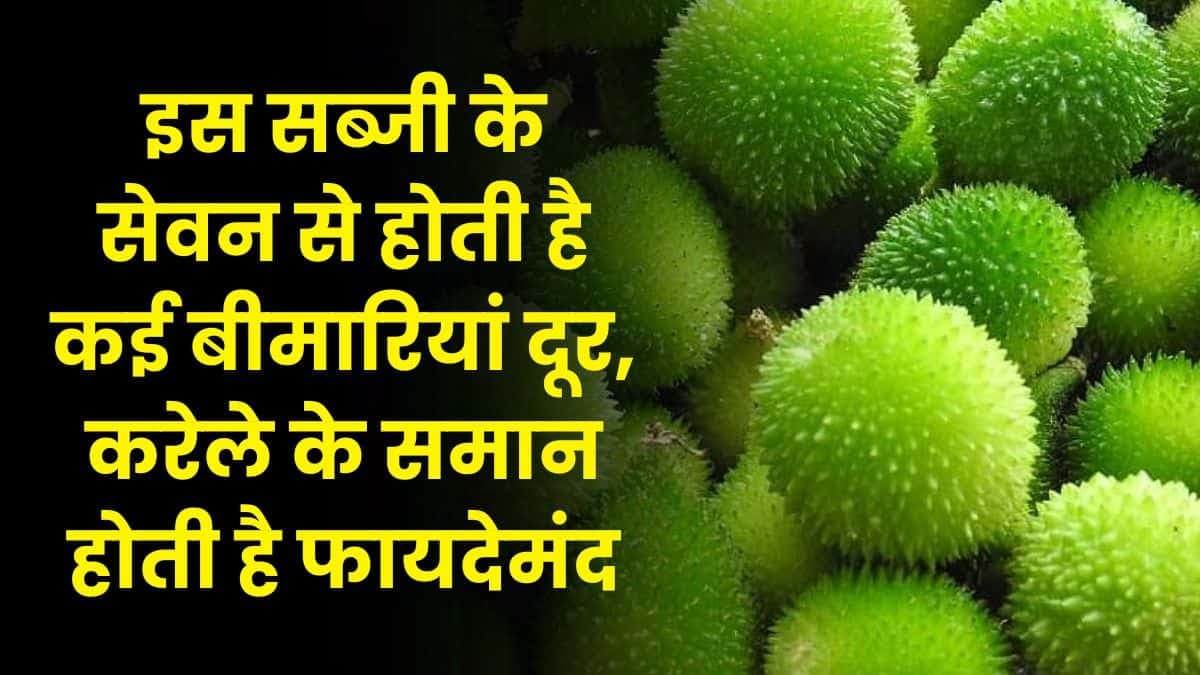 Good Health Tips: इस सब्जी के सेवन से होती है कई बीमारियां दूर, करेले के समान होती है फायदेमंद, जाने नाम