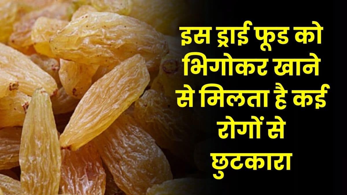 Health Tips: इस ड्राई फूड को भिगोकर खाने से मिलता है कई रोगों से छुटकारा, जाने ड्राई फ्रूट का नाम