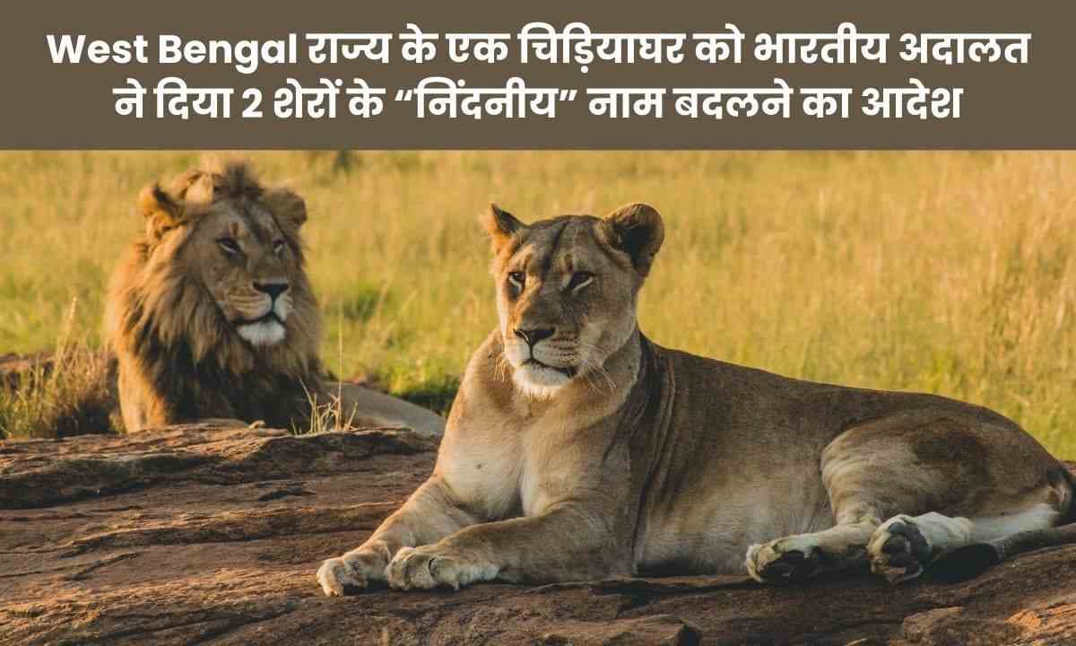 West Bengal राज्य के एक चिड़ियाघर को भारतीय अदालत ने दिया 2 शेरों के ”निंदनीय” नाम बदलने का आदेश