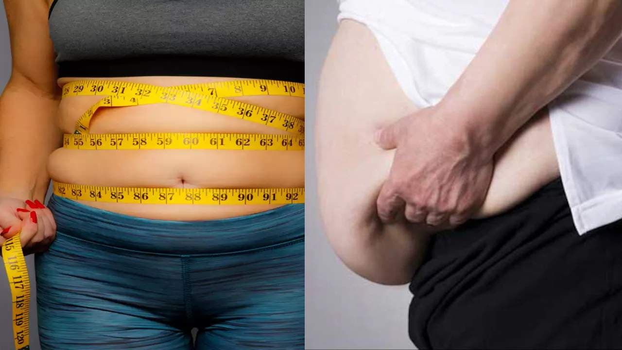 World Obesity Day: भारत में बढ़ रहे हैं मोटापे के मामलें, जानें क्या है इस मेटाबॉलिक डिजीज की वजह