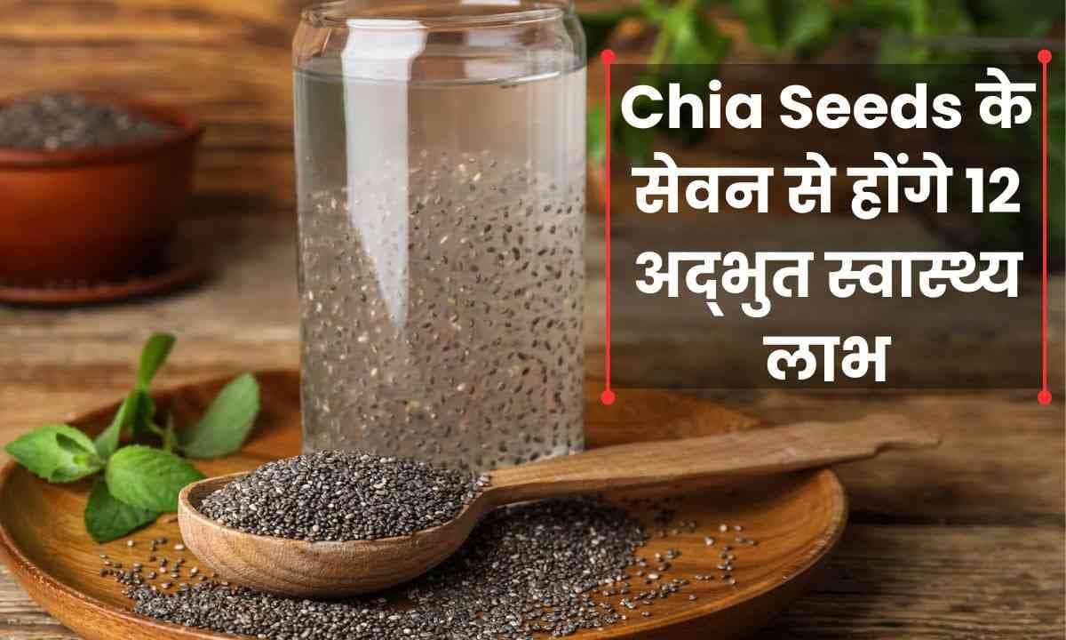 Chia Seeds के सेवन से होंगे 12 अद्भुत स्वास्थ्य लाभ और कैसे करे इसका उपयोग