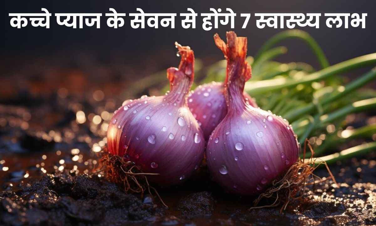 Raw Onion के सेवन से होंगे 7 स्वास्थ्य लाभ, जानिए कौन से है वो लाभ