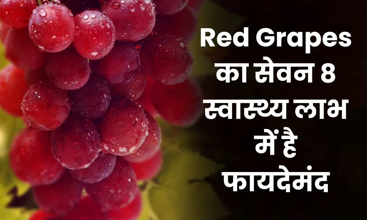Red Grapes का सेवन 8 स्वास्थ्य लाभ में है फायदेमंद, जानिए कौन से है ये स्वास्थ्य लाभ