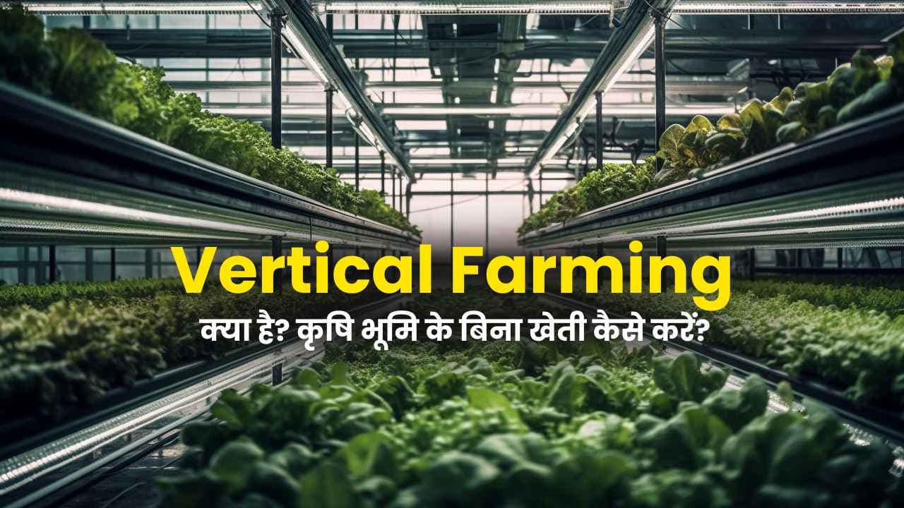 Vertical Farming क्या है? कृषि भूमि के बिना खेती कैसे करें? यहाँ जाने पूरी जानकारी