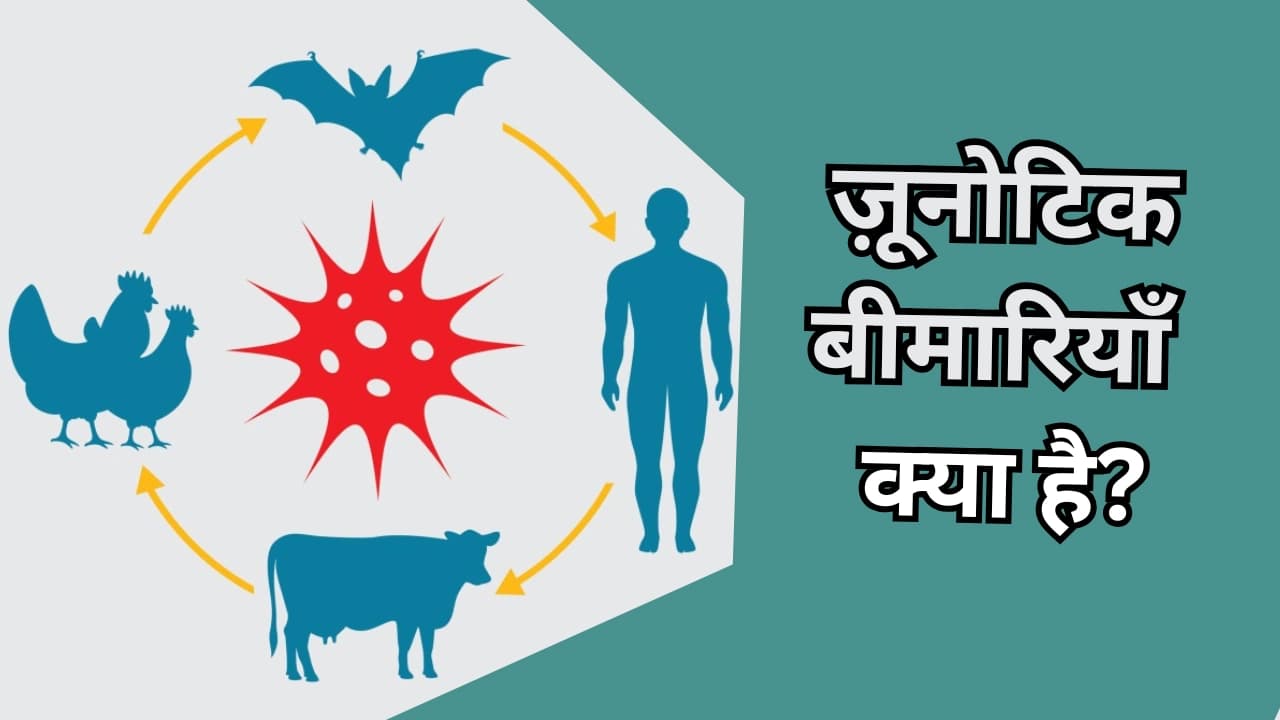 ज़ूनोटिक बीमारियाँ क्या है? आईये जानते है पशुओं से मनष्यों में कैसे फैलता है!