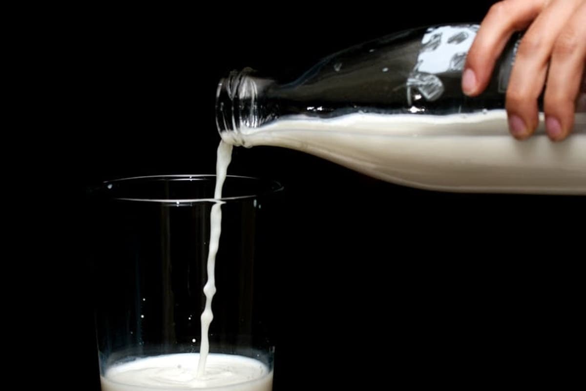 Adulterated Milk: मिलावटी दूध ने मचाया तांडव, 48 घंटे में 4 की मौत, 12 अस्पताल में भर्ती