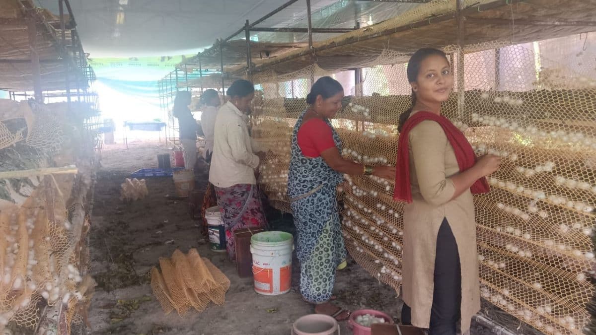 Advanced farming: उन्नत खेती को अपनाकर बदली अपनी किस्मत, गांव के हर किसान को बनाया लखपति