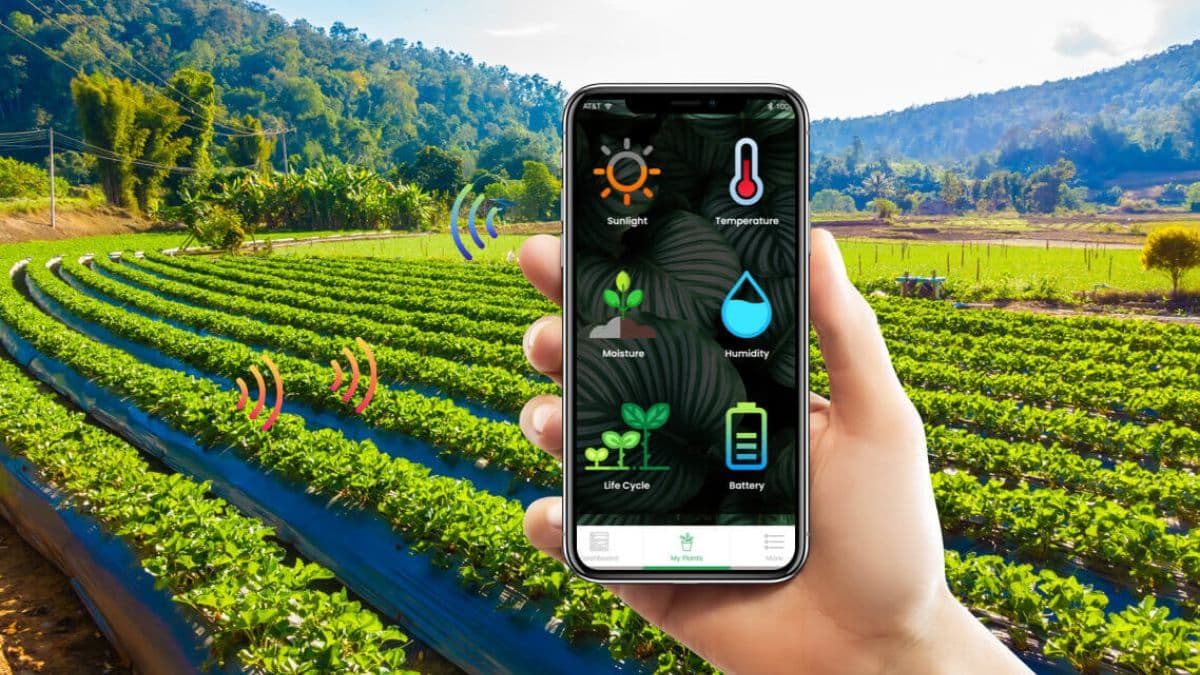 Agro Advisory Apps: खेती को नुकसान से बचाएंगे ये ऐप्स, फसल कब बोएं, कब बेचें बताएंगे उचित तरीका