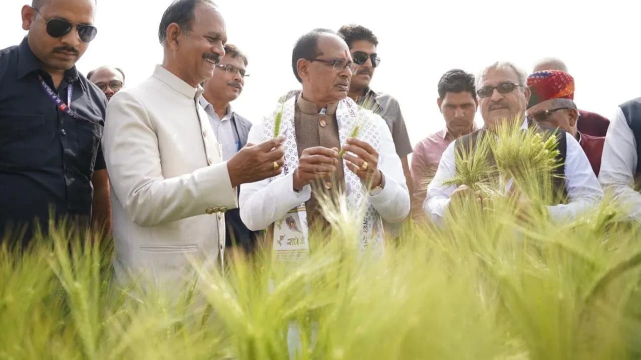 Agri News: कृषि वैज्ञानिकों ने कर दिखाया कमाल, विकसित की गेहूं से भी बेहतर जौ की खास किस्म