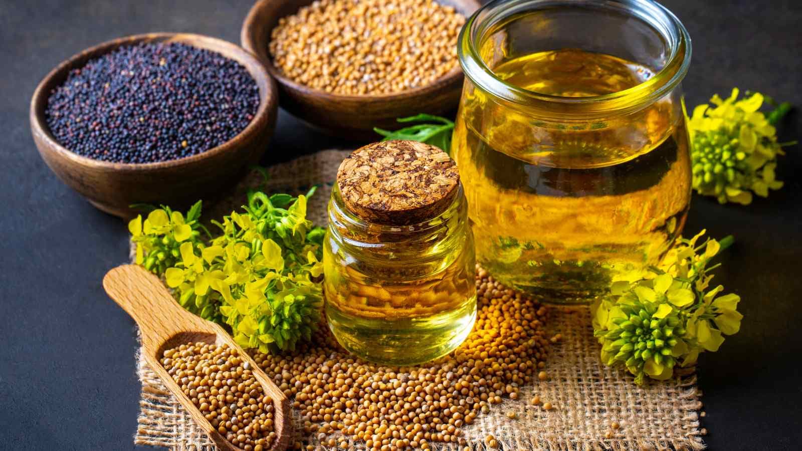 Hair Tips: घर में बनाएं ये जादुई तेल, बालों का टूटना और सफेद होना हो जाएगा कम