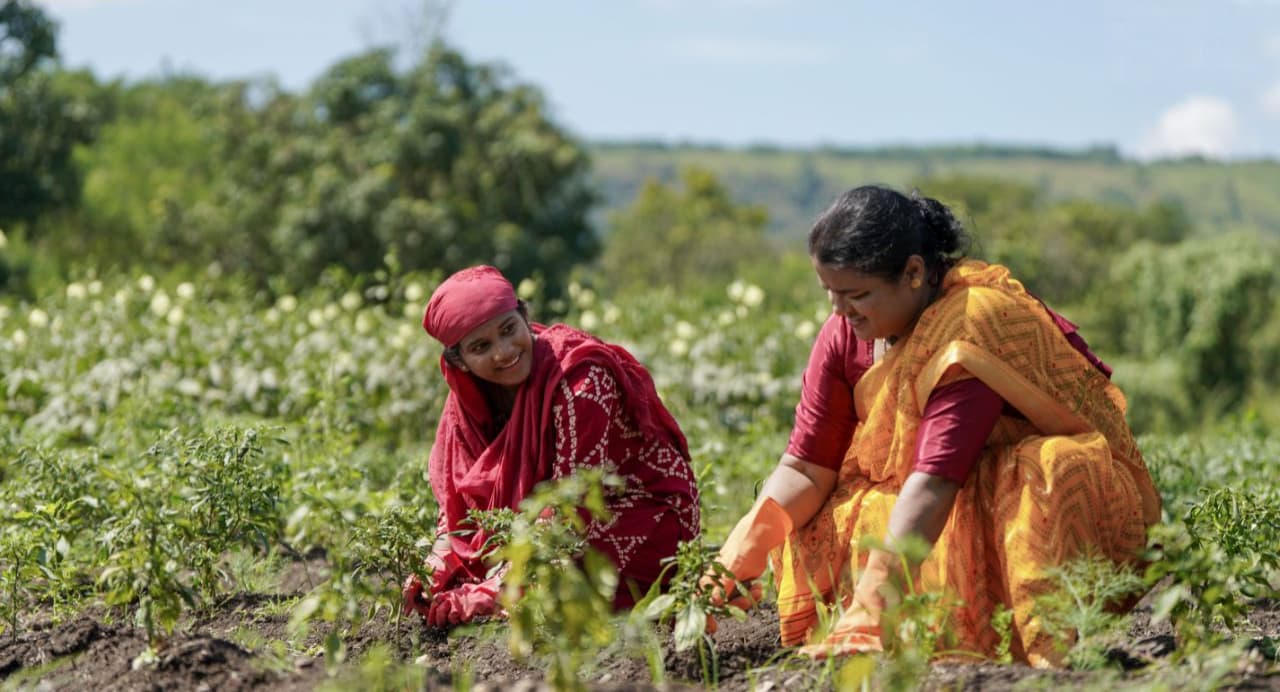 India brazil trade deal: अनार, लहसुन, अंगूर और किशमिश का एक्सपोर्ट बढ़ने से किसानों को होगा फायदा