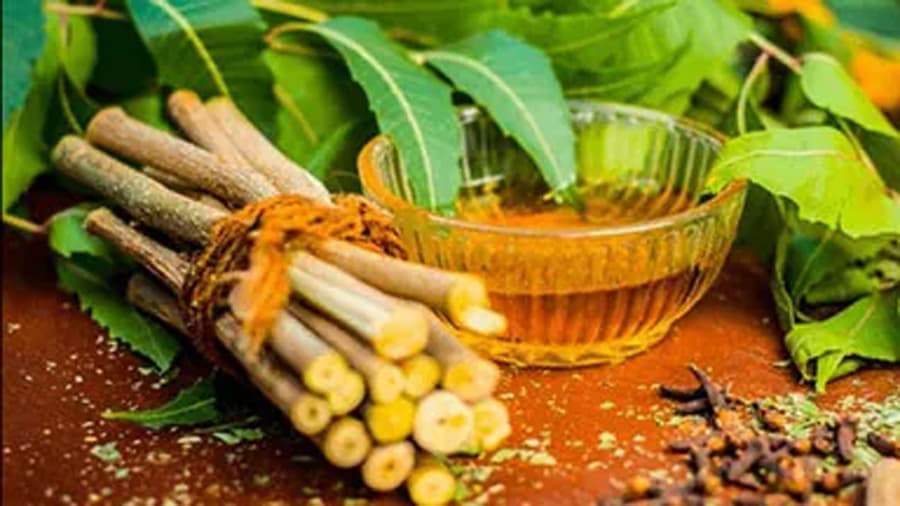 Neem Leaves Benefits: रोजाना नीम के पत्ते खाने के फायदे, जानें कितनी मात्रा में खाना चाहिए ?