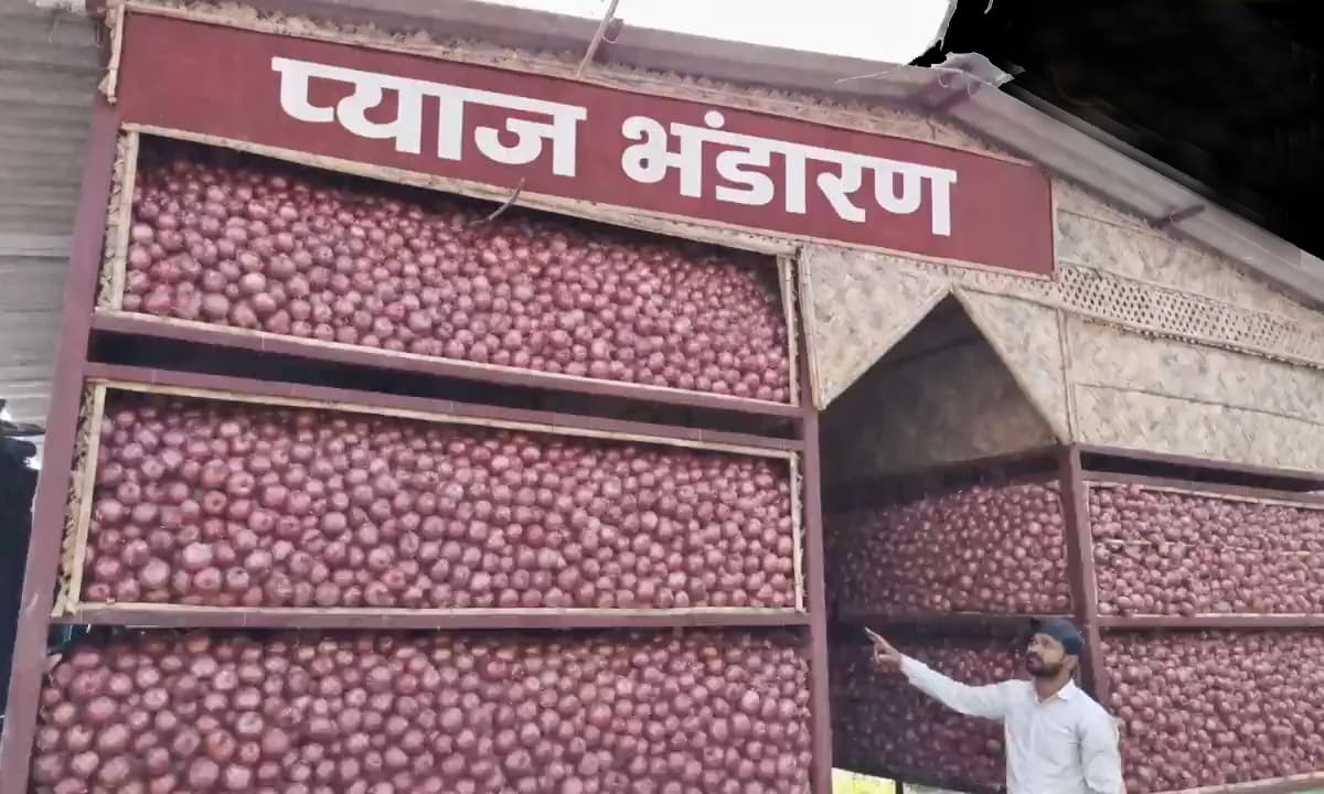 Kisan Advise: किसानों को प्याज सड़ने की झंझट से मिलेगी मुक्ति, 40 हजार से काम में बनेगा स्टोरेज