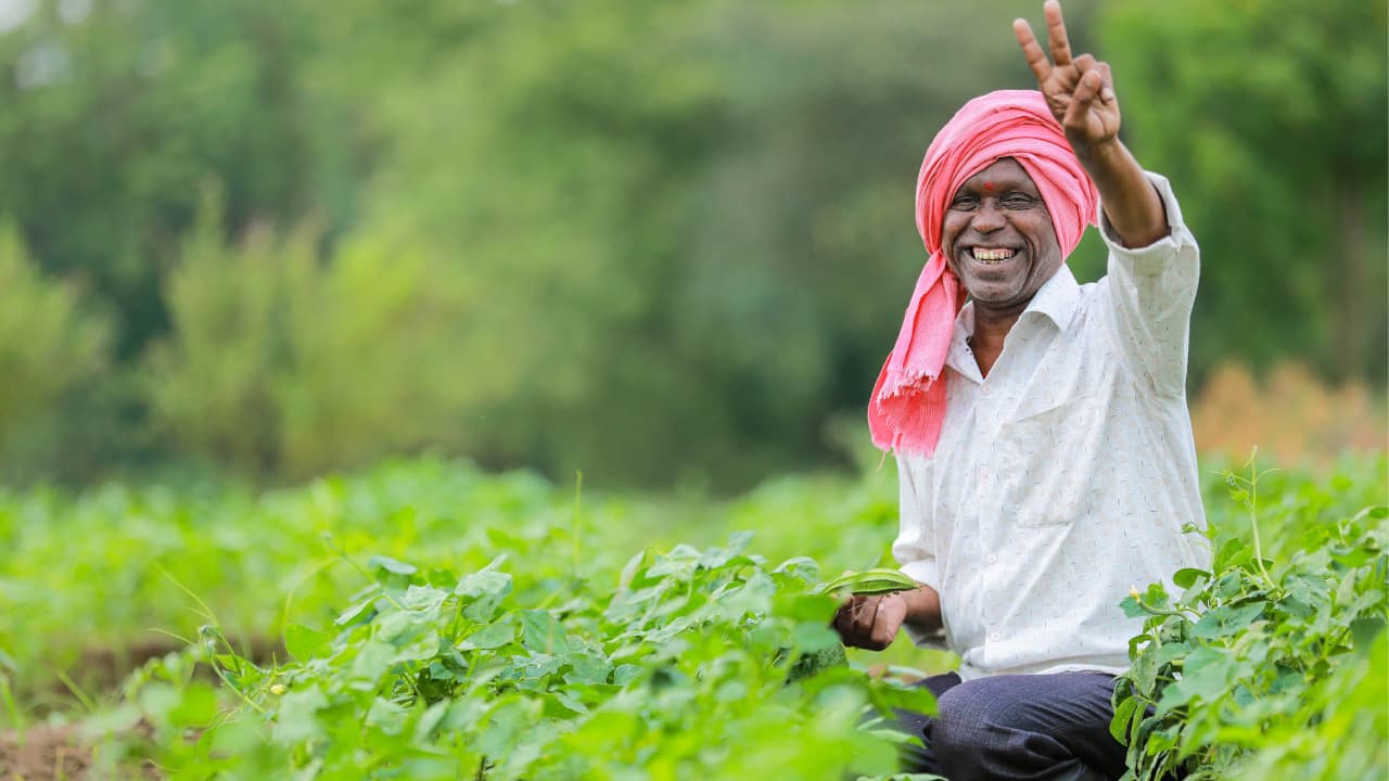 PM Kisan 22nd Installment: 22वीं किस्त को लेकर बड़ा अपडेट, वेबसाइट पर जुड़े नए फीचर, जानें किसे नहीं मिलेगा पैसा
