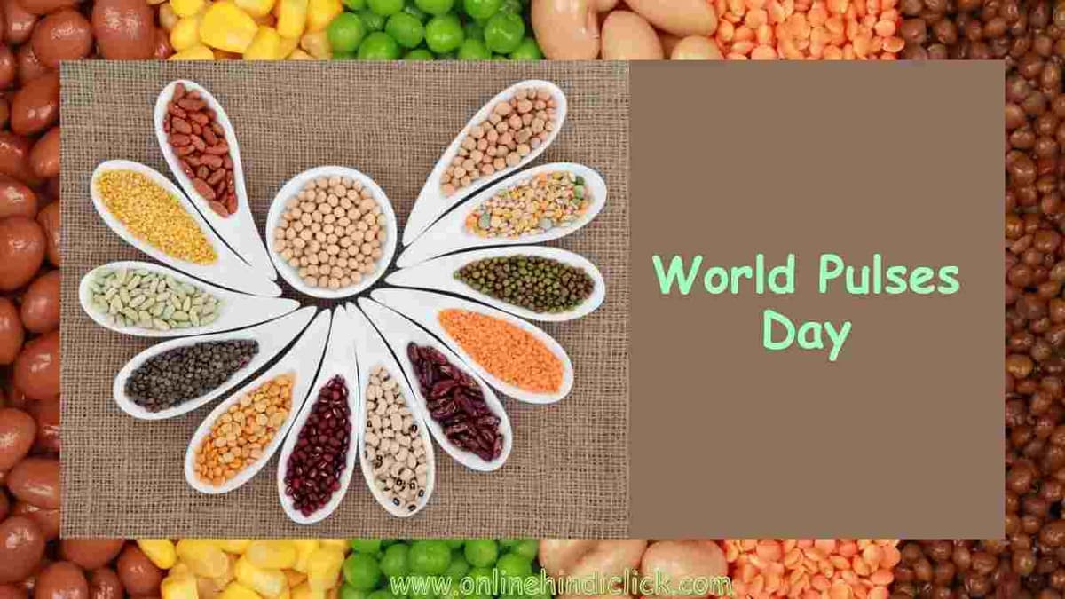 World Pulses Day: दुन‍िया में यहां होता है दालों का सबसे ज्‍यादा उत्‍पादन, जानें भारत किस नंबर पर?