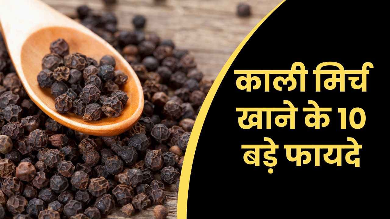 काली मिर्च खाने के 10 बड़े फायदे: पाचन, इम्यूनिटी और वजन घटाने में कैसे फायदेमंद है?