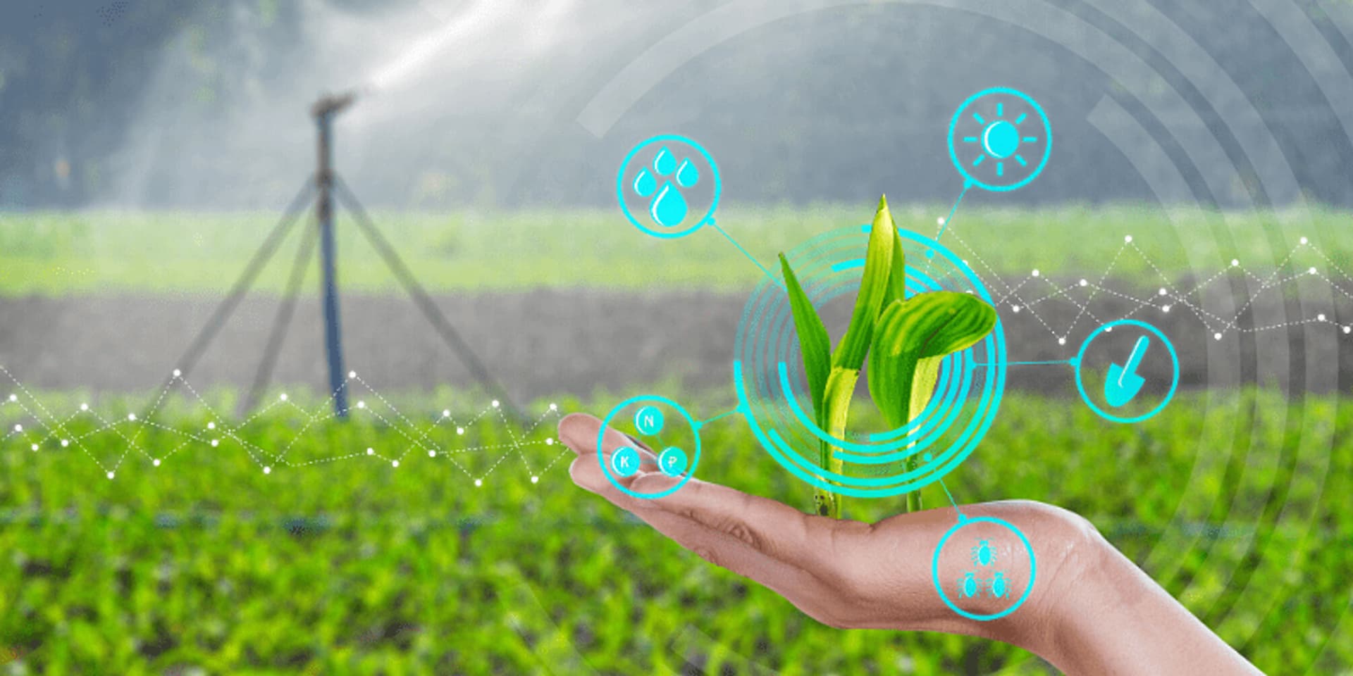 Agricultural Startups: खेतों तक पहुंच बड़ा रहे एग्रीकल्चर स्टार्टअप, छोटे किसानों को मिल रही बड़ी राहत