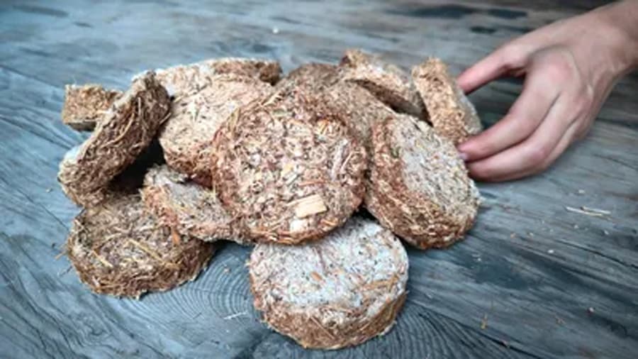Biofuel Briquettes: LPG संकट के बीच एक शिक्षक ने कर दिखाया कमाल, कचरे से बनाया सस्ता ईंधन