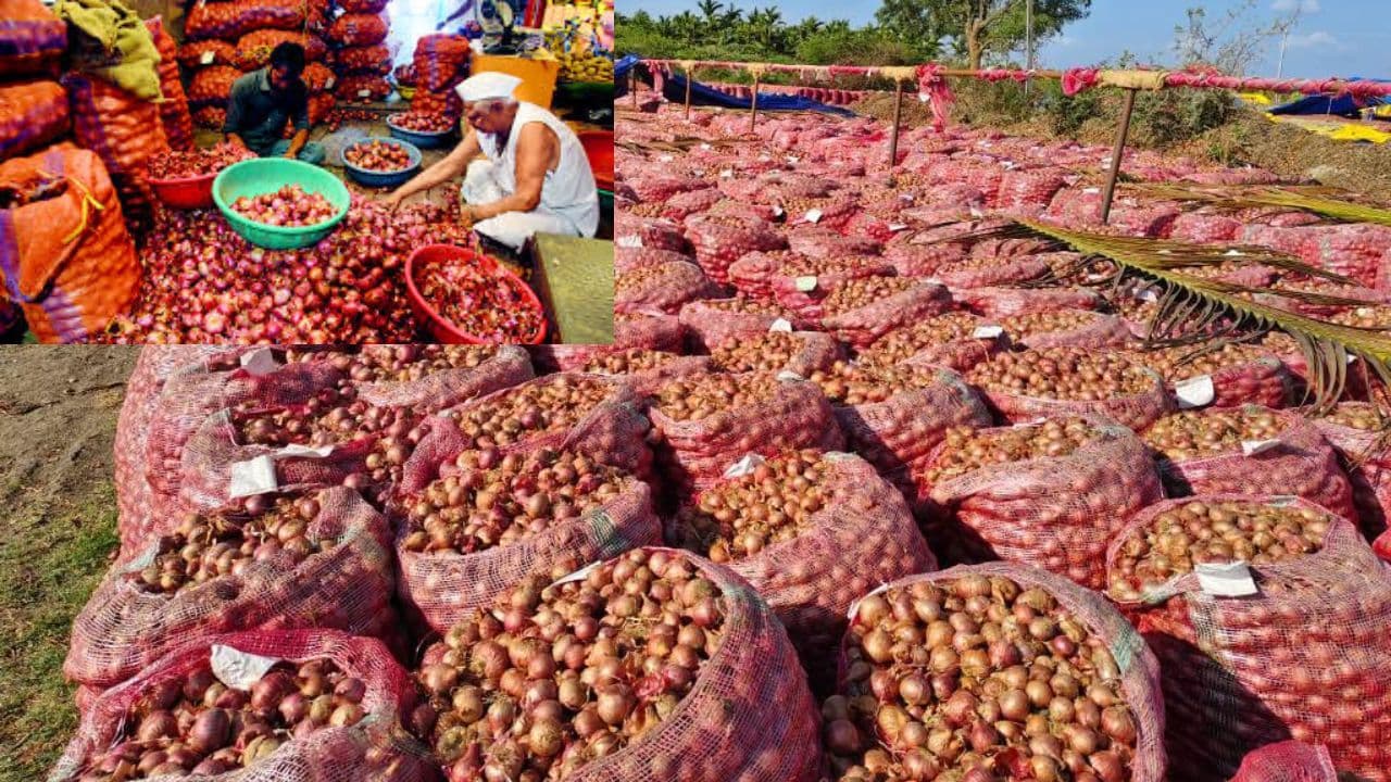 Bumper Harvest: देश में प्याज की बंपर पैदावार से किसानों को तगड़ा झटका, खरीदार गायब, नहीं निकल रही लागत