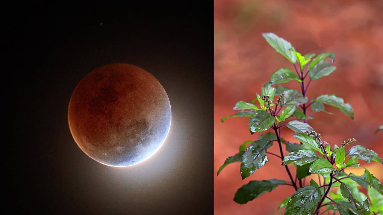 Chandra Grahan 2026: सूतक काल में पानी और भोजन में डाली गई तुलसी का क्या करना चाहिए? जानें