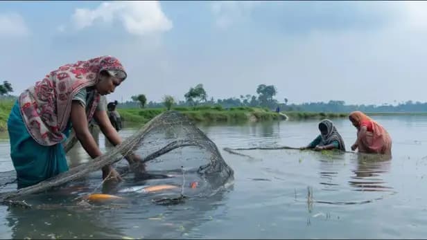 Fish Production: मछली उत्पादन बढ़ाने पर ज़ोर दे रही ये सरकार, AI से होगी तालाबों की मैपिंग