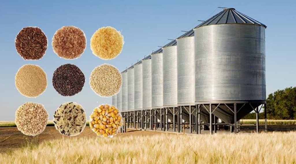 Grain Storage Facilities: देश में गांव-गांव बनेंगे अनाज भंडार, फसलों की बर्बादी से किसानों को मिलेगी मुक्ति