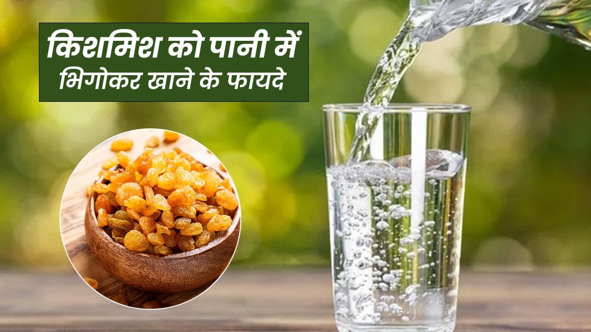 Health Tips: सुबह खाली पेट एक गिलास गुनगुना पानी और भीगी हुई किशमिश खाने से मिलते हैं कई फायदे, जानें