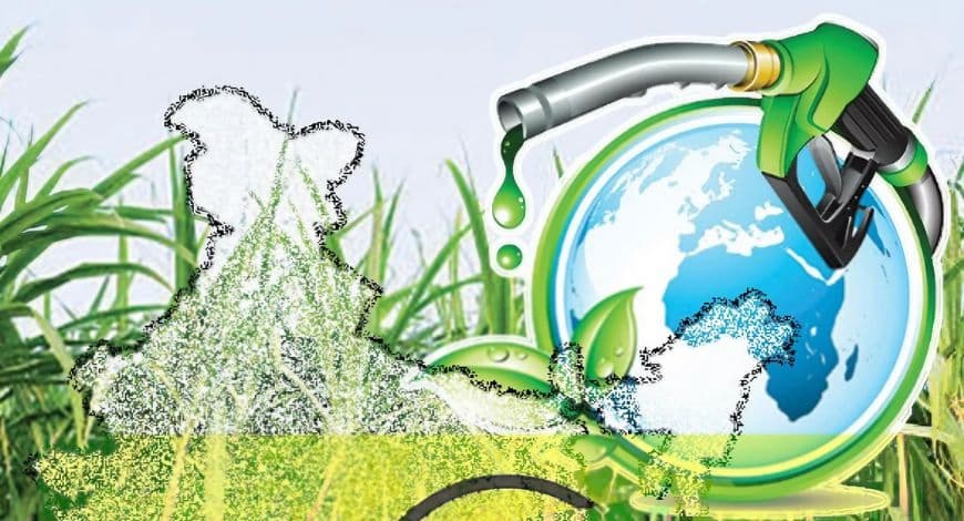 India ethanol policy : इथेनॉल उत्पादन के लिए 90 लाख टन चावल खरीदेगी सरकार, तेल आयात कम करने की तैयारी