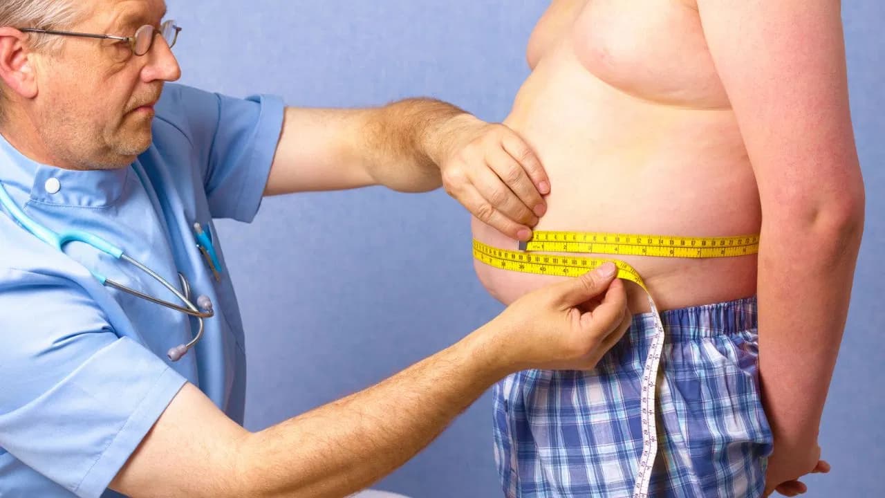Obesity Big Problem: मोटापा बन रही ग्लोबल समस्या, ये कारण भी बन रहे वजह, जानें