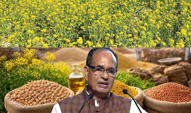 Relief for Farmers: MSP पर 18 लाख टन सरसों-चना और मसूर की होगी खरीदी, कृषि मंत्री ने दी मंज़ूरी