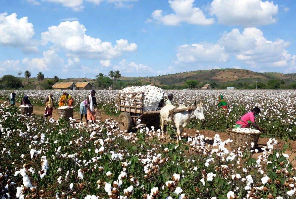 Textile Sector: टेक्सटाइल सेक्टर पर दिखने लगा जंग का असर, पॉलिएस्टर छोड़ कपास की ओर बढ़ीं मिलें