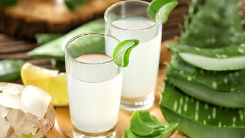 Aloe Vera Juice: चाय की चुस्की छोड़ सुबह खाली पेट पीयेंगे ये जूस तो दिनभर रहेंगे चुस्त-दुरुस्त, जानें इसके फायदे?