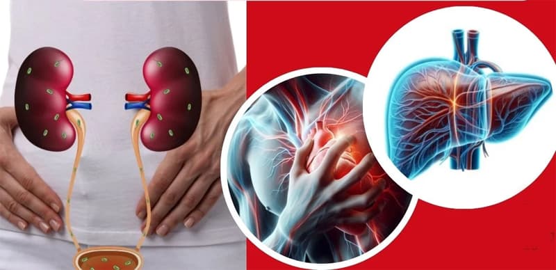 Diabetes Effect : डायबिटीज़ से बढ़ जाता है लिवर की कई बीमारियों का खतरा, लक्षण दिखे बिना हो रहा 'साइलेंट अटैक'