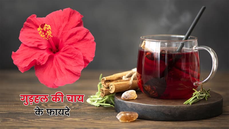 Hibiscus Tea: सेहत के लिए बेहद फायदेमंद होती है गुड़हल की चाय, जानें इसके फायदे और बनाने का आसान तरीका?