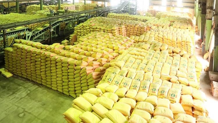 Kisan News: केंद्र सरकार ने उर्वरक और रसायनों से हटाया सीमा शुल्क, किसानों को मिलेगी बड़ी राहत